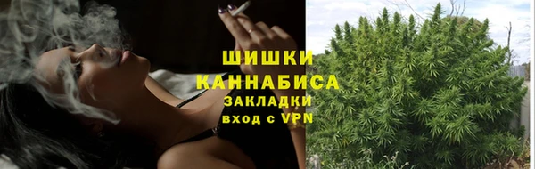 ПСИЛОЦИБИНОВЫЕ ГРИБЫ Новокубанск