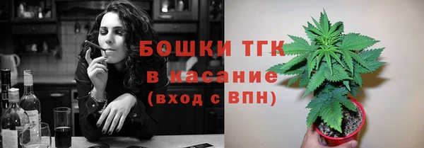 СК Новозыбков