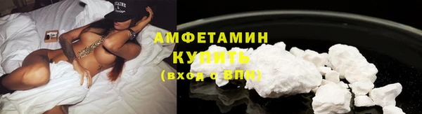 СК Новозыбков