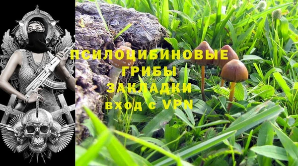 спайс Новодвинск