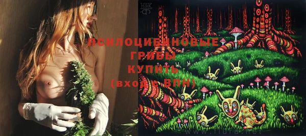 спайс Новодвинск
