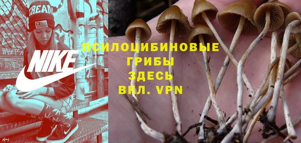 дмт Нягань
