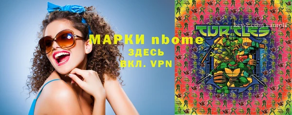 СК Новозыбков