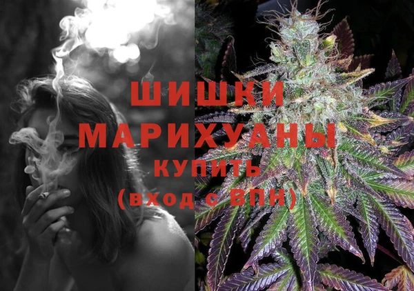 спайс Новодвинск