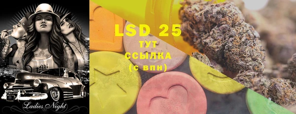 СК Новозыбков