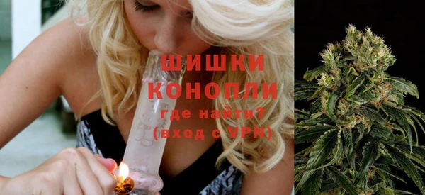 дмт Нягань