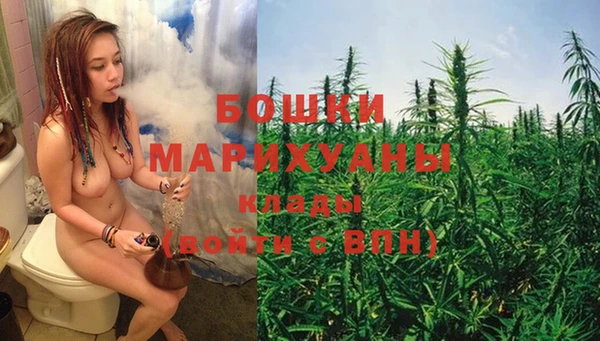 спайс Новодвинск